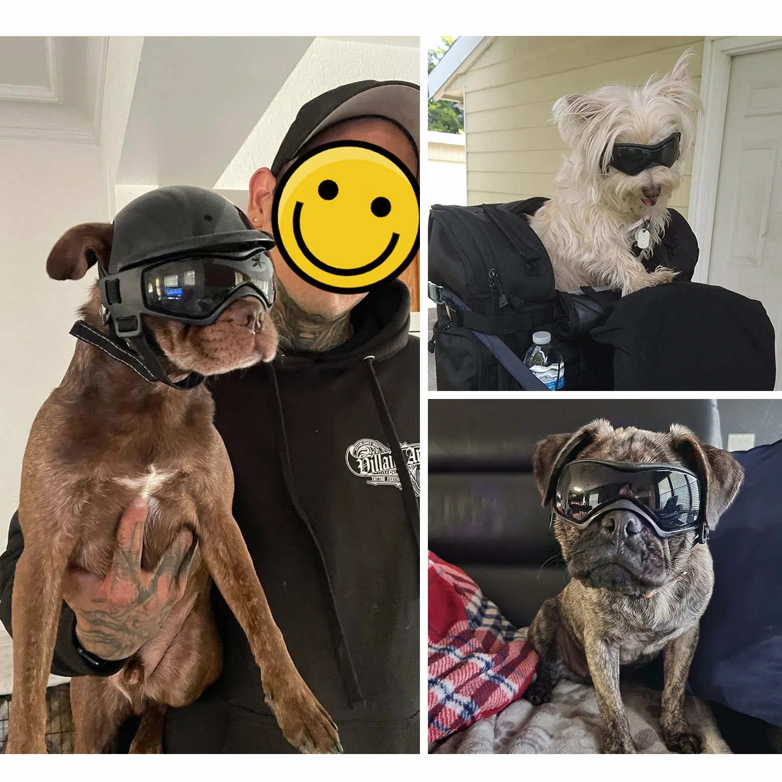 NAMSAN Gafas de sol antiUV para perros con casco para mascotas, a prueba de viento, protección ocular para perros pequeños, medianos y pequeños