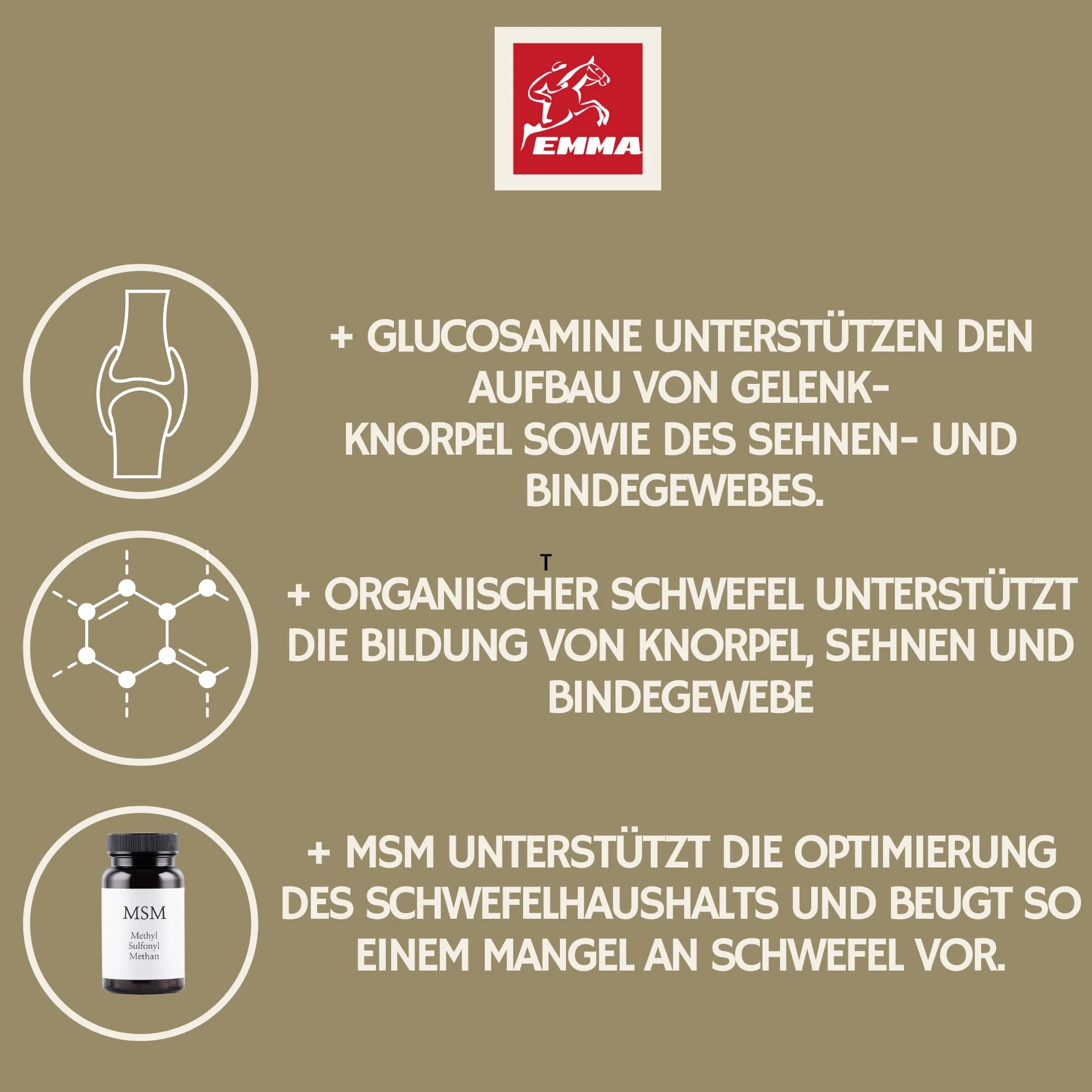 MSM para Caballos 1L Sistema Musculoesquelético Caballo Líquido en Vez de MSM Polvo I Articulaciones Tendones Ligamentos MSM con Glucosamina Condroitina Complejo Colágeno Altamente Dosificado Senior