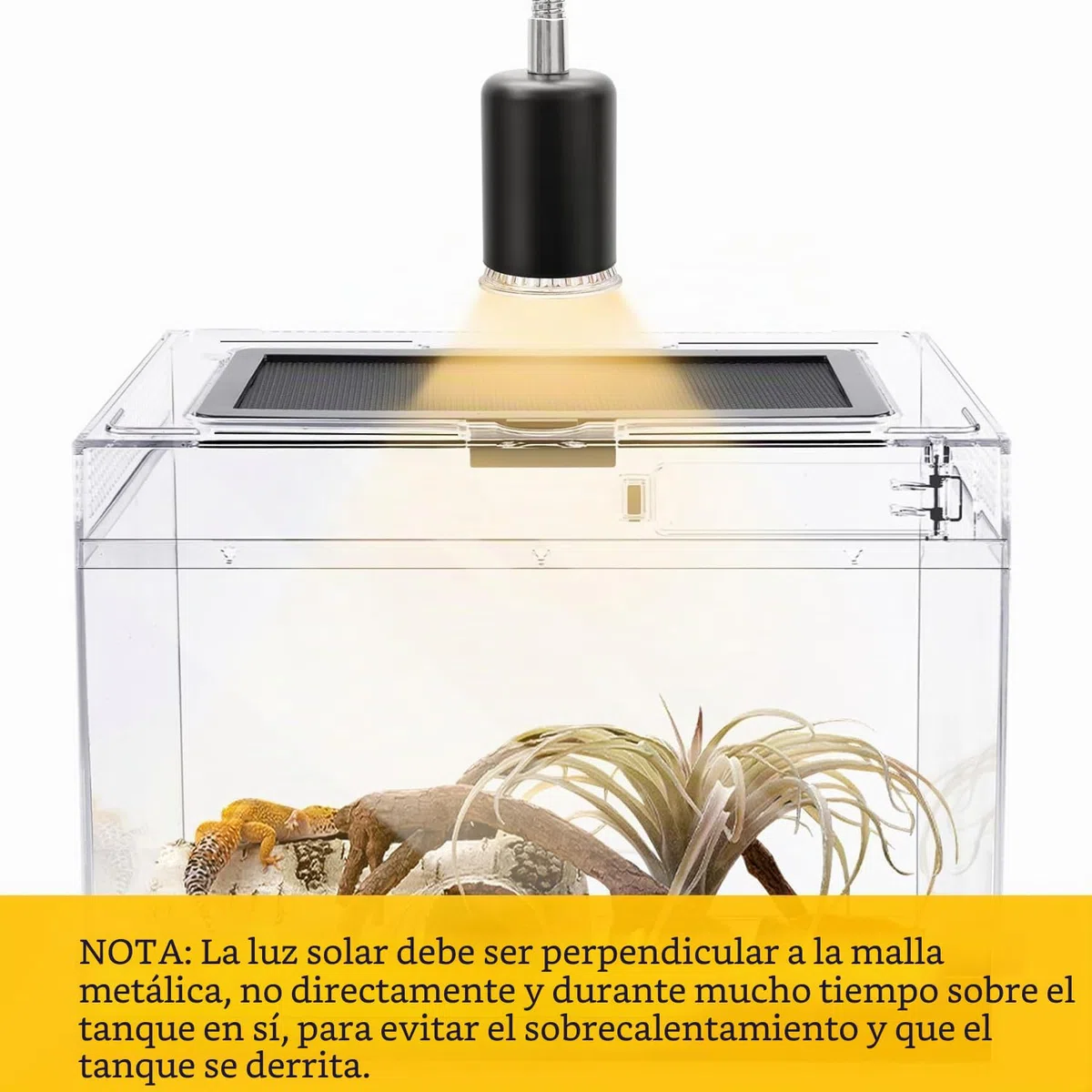Caja de Alimentación de Insectos, Caja de alimentación para Reptiles, Estuche de Cría de Reptiles para lagartos, arañas, Ranas de Cuernos y escarabajos,Terrario para Reptil/Anfibios (12 * 7 * 9in)