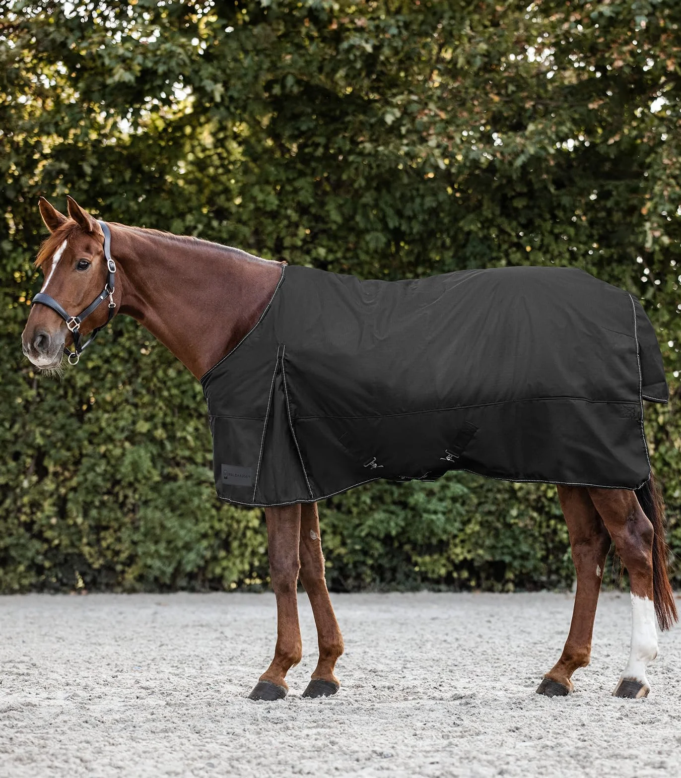 Waldhausen Manta Nordic para exteriores, 100 g, color negro, 165 cm