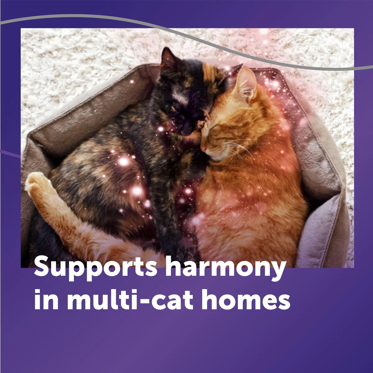 FELIWAY Optimum, Repuesto de feromonas calmantes mejoradas para 30 días, Paquete de 2