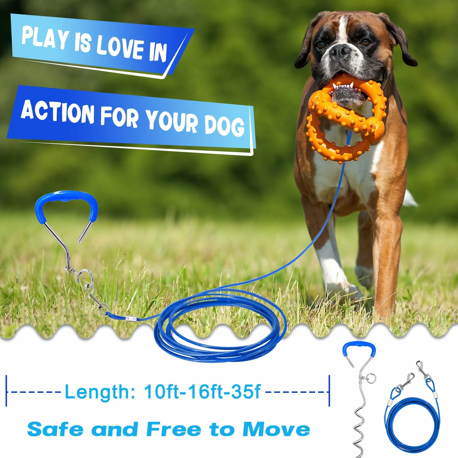 Supet - Set de Cables y estacas de fijación para Perros de Acero Inoxidable para Exteriores y Jardines