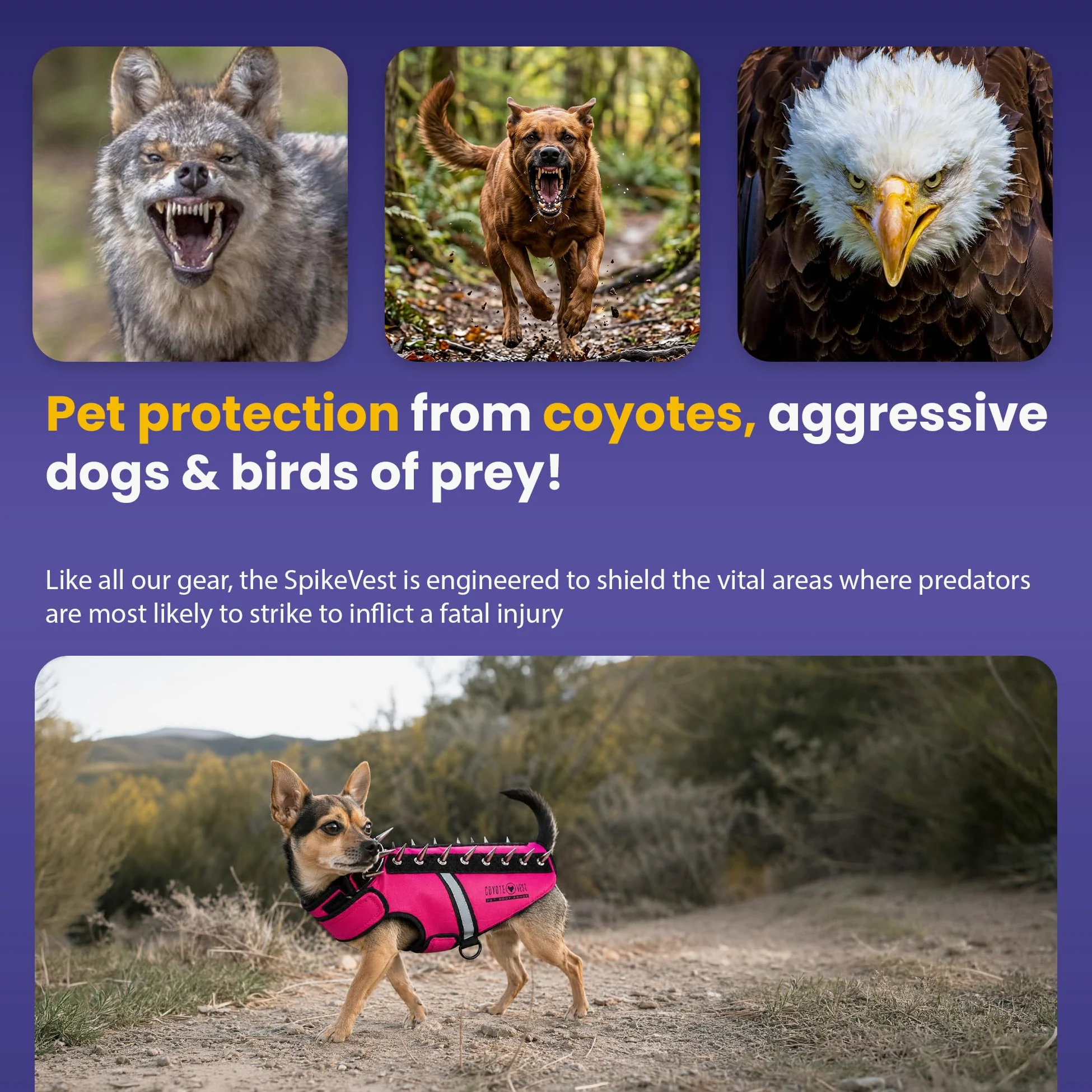 CoyoteVest SpikeVest - Arnés para Perros pequeños, Chaleco Reflectante con Pinchos para protegerlos de halcones, Coyotes, Rapaces y ataques de Animales, Fabricado en EE. UU., Rosa, XXS