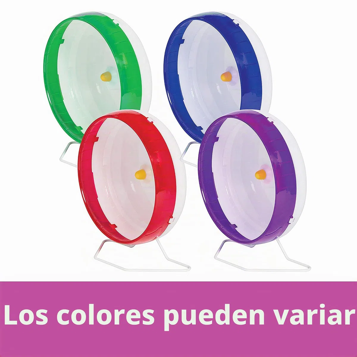 Kaytee Rueda giratoria silenciosa para Mascotas sirias o hámsteres de Raza Grande, Deslizadores de azúcar y jerbos, Grande de 10 Pulgadas