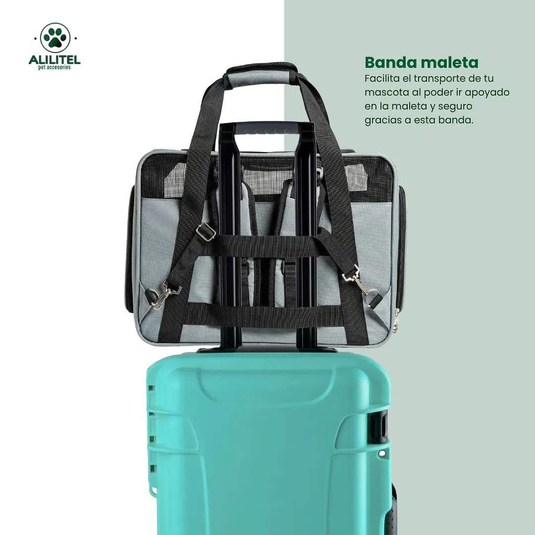 Transportin Gato Perro, Mochila Transporte para Mascotas, Transportin Transpirable con Asas y Correa de Hombro, Incluye Organizador de Documentos