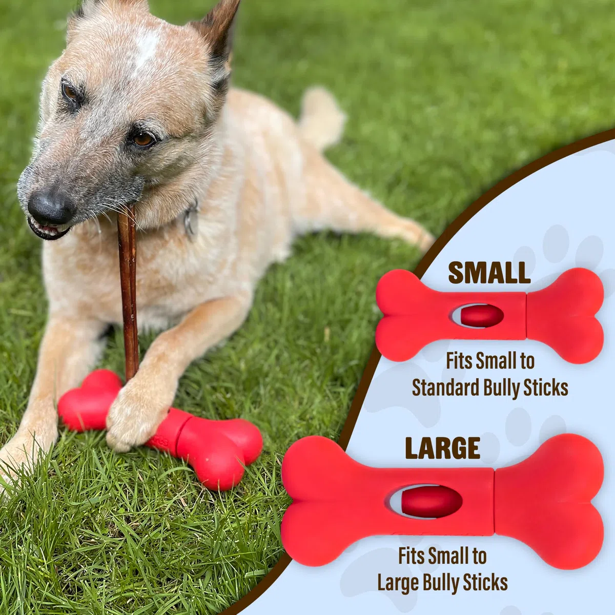 GoSports Chew Champ - Soporte para barritas Bully Stick para Perros, sostiene de Forma Segura Las barritas para Ayudar a prevenir el atragantamiento, tamaño de 15 o 20 cm, Paquete de 1 Unidad