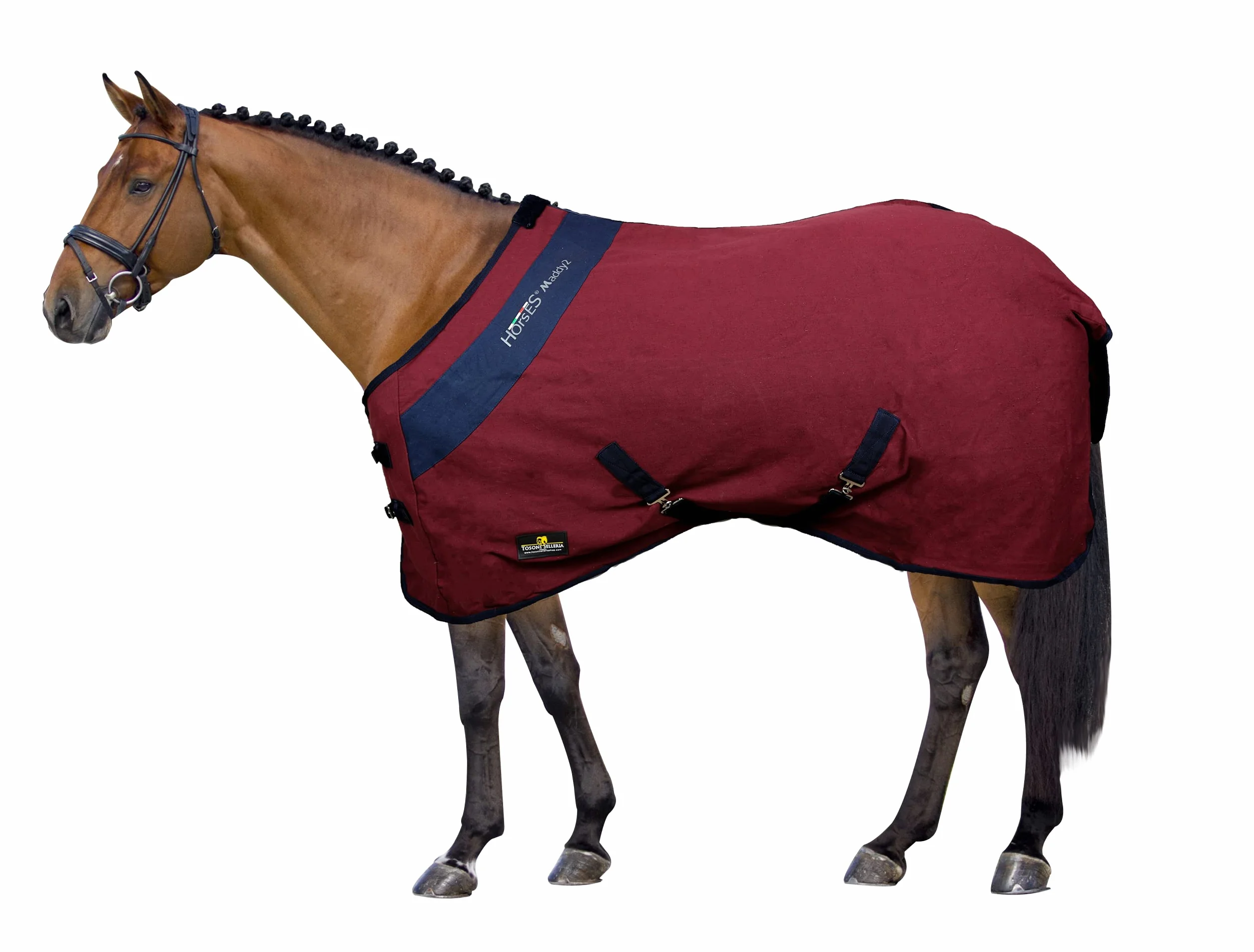 Horses Coperta Box Cotone Maddy 2-153 - BORDEAUX/BLU-128-128 cm