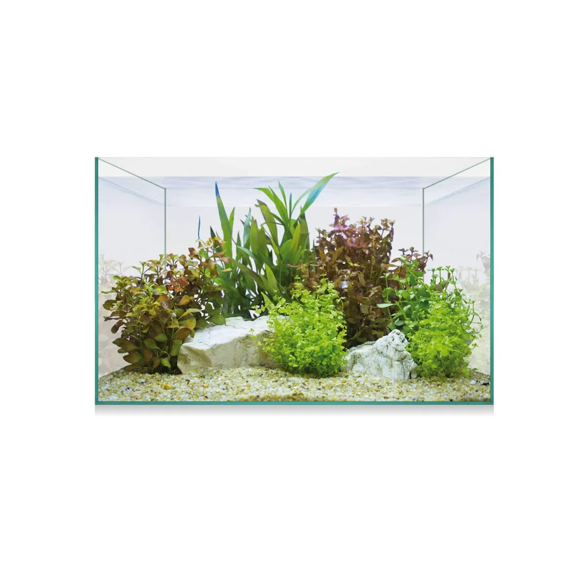 ICA AAQ8 Urna Aquascape Basic 8, 30x15x18 cm, 6,8L, Ideal para Nano Acuarios y Terrarios
