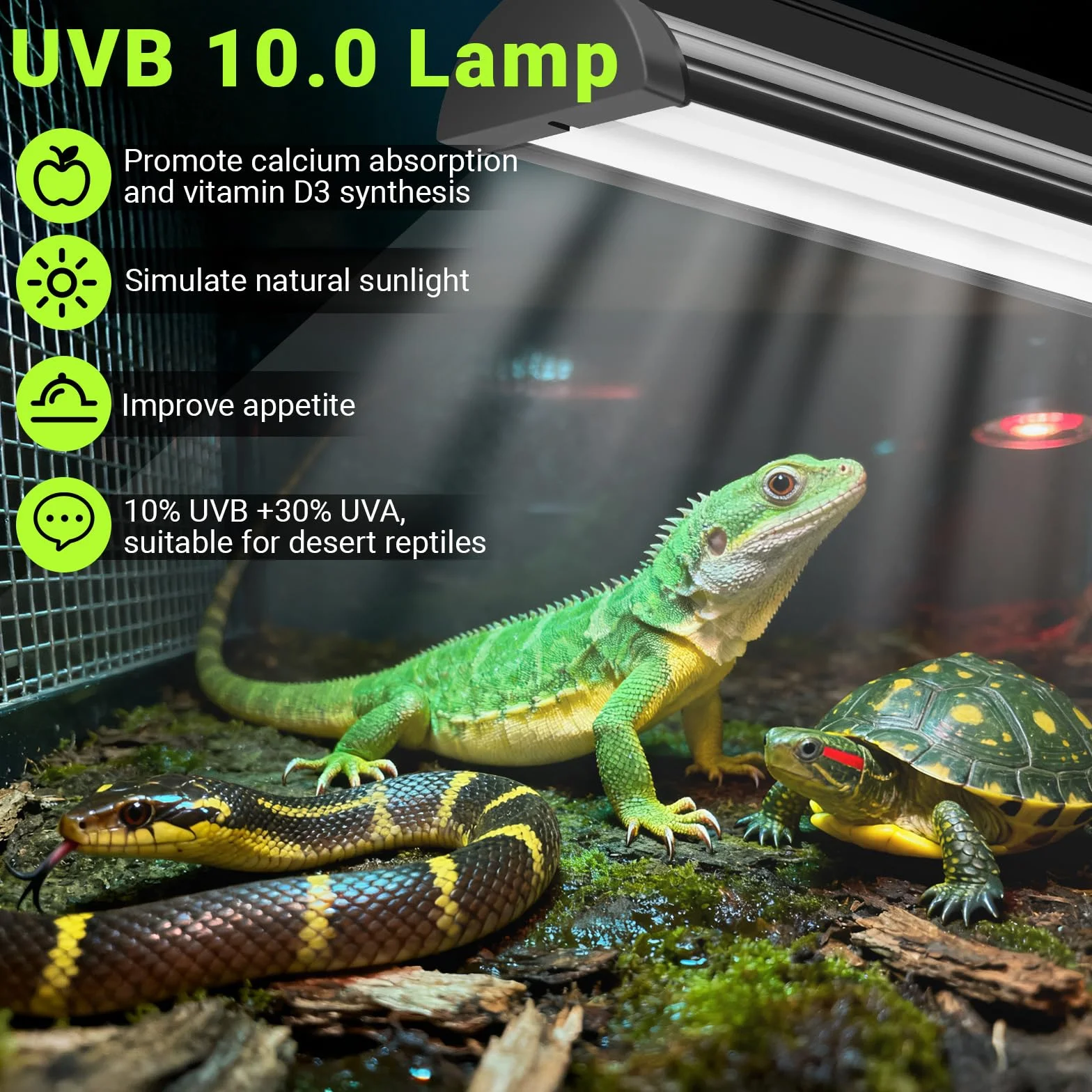 Kit de reptiles ligeros T5 UVB de 8 W, 10 % UVB y 30 % UVA para reptiles tropicales del desierto, accesorio de alto rendimiento de 31,5 cm con tubo T5 10,0 UVB para dragón barbudo, lagarto