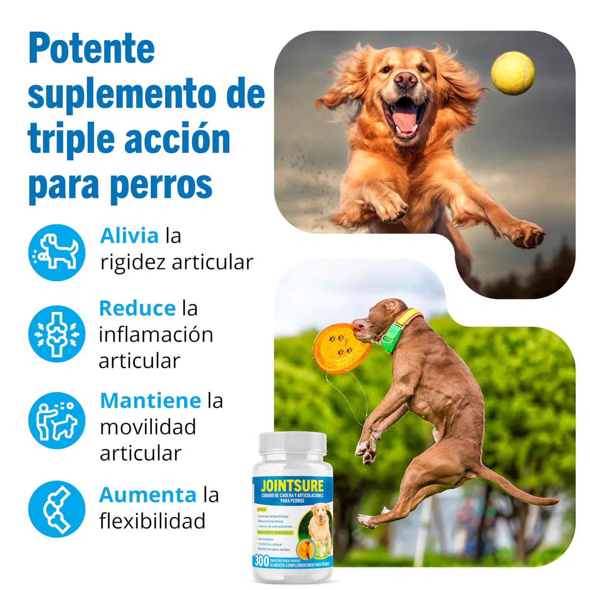 JOINTSURE condroprotector Perros I con Gran concentración de mejillon Labios Verdes, glucosamina y condroitina Natural I suplemento antiinflamatorio para articulaciones I 300 Comprimidos