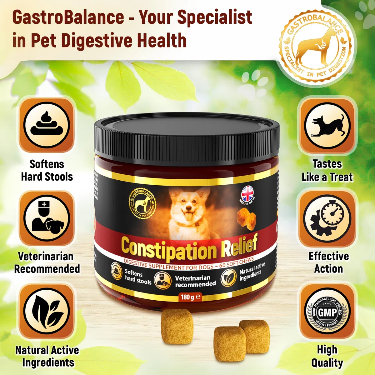 Alivio estreñimiento Perros - 60 masticables Blandos para ablandar Las heces de Perros (Sabor a Pollo)