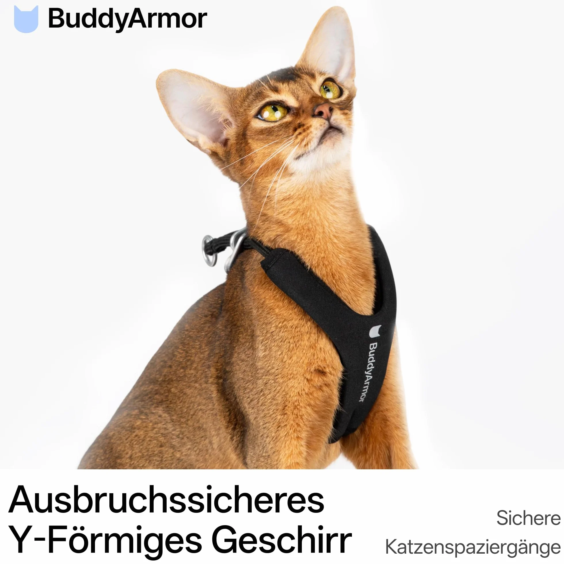 Arnés en forma de Y para gatos - Antiescapada - Ajustable - Antiasfixia - Acolchado - Cómodo - Arnés para gatos - Arnés para gatos de tamaño pequeño a grande (sin correa