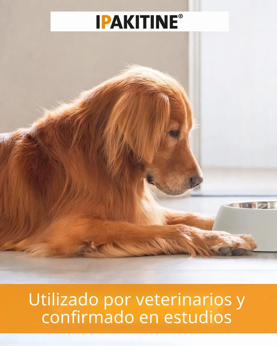 Vetoquinol Ipakitine Alimento Dietético - 180 gr