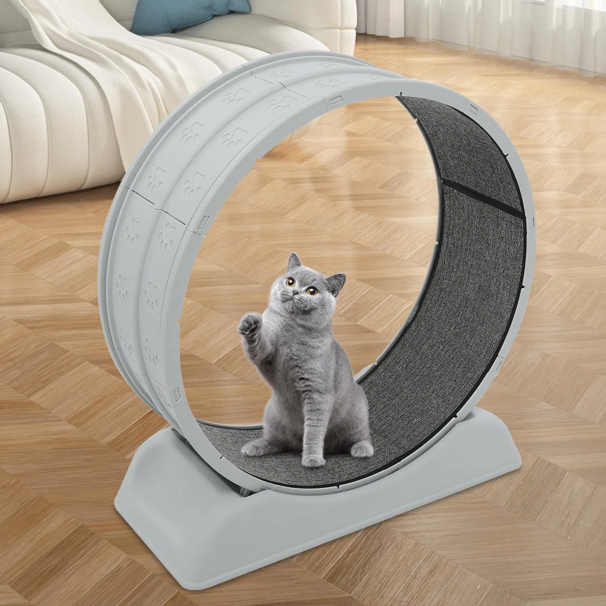 Bicicleta para gatos domésticos, cinta de correr para gatos, con alfombra extraíble y pesca para gatos, resistente a los arañazos, estable y silenciosa, adecuada para la mayoría de los gatos de