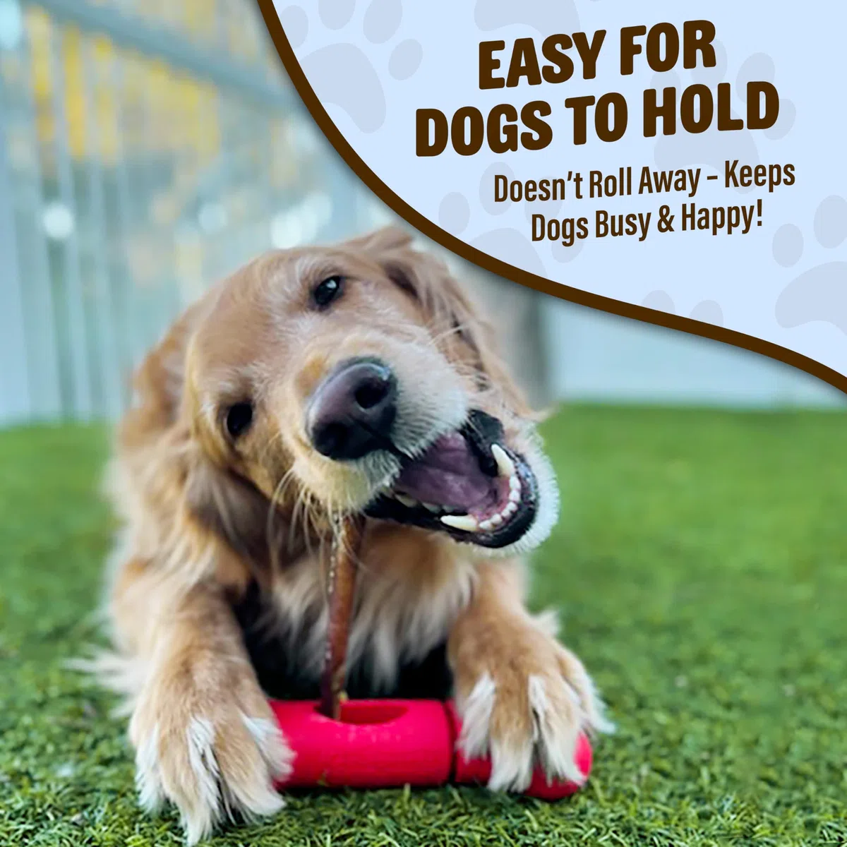 GoSports Chew Champ - Soporte para barritas Bully Stick para Perros, sostiene de Forma Segura Las barritas para Ayudar a prevenir el atragantamiento, tamaño de 15 o 20 cm, Paquete de 1 Unidad