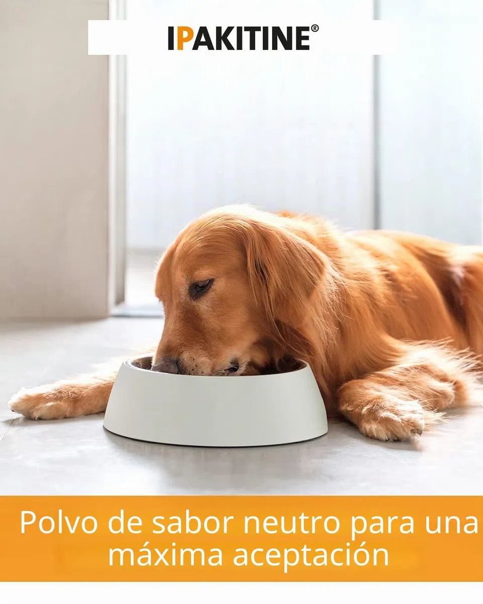 Vetoquinol Ipakitine Alimento Dietético - 180 gr