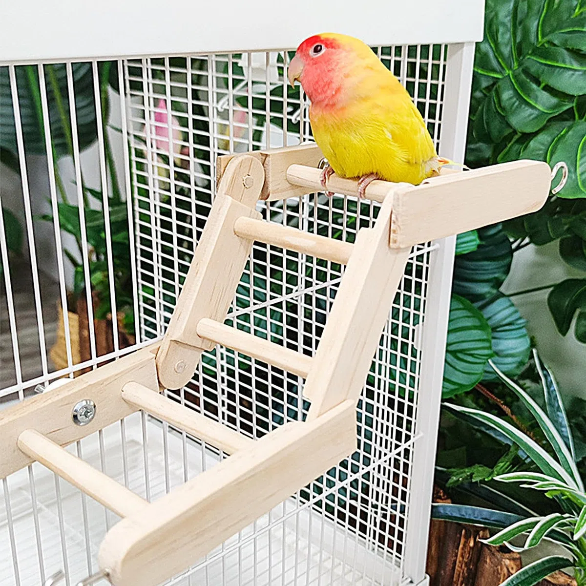 Escaleras para pájaros para loros,Escalera para pájaros para jaula - Escalera de escalada de jaula de madera | Juguetes multiusos para moler picos de pájaros para periquitos, loros, periquitos y colib