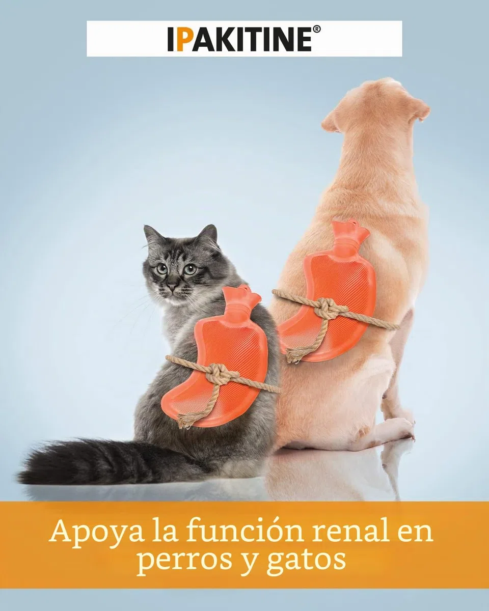 Vetoquinol Ipakitine Alimento Dietético - 180 gr