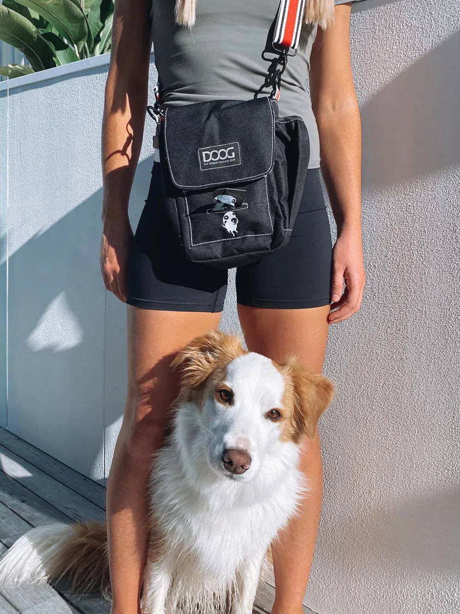 Doog Bolso bandolera de paseo.