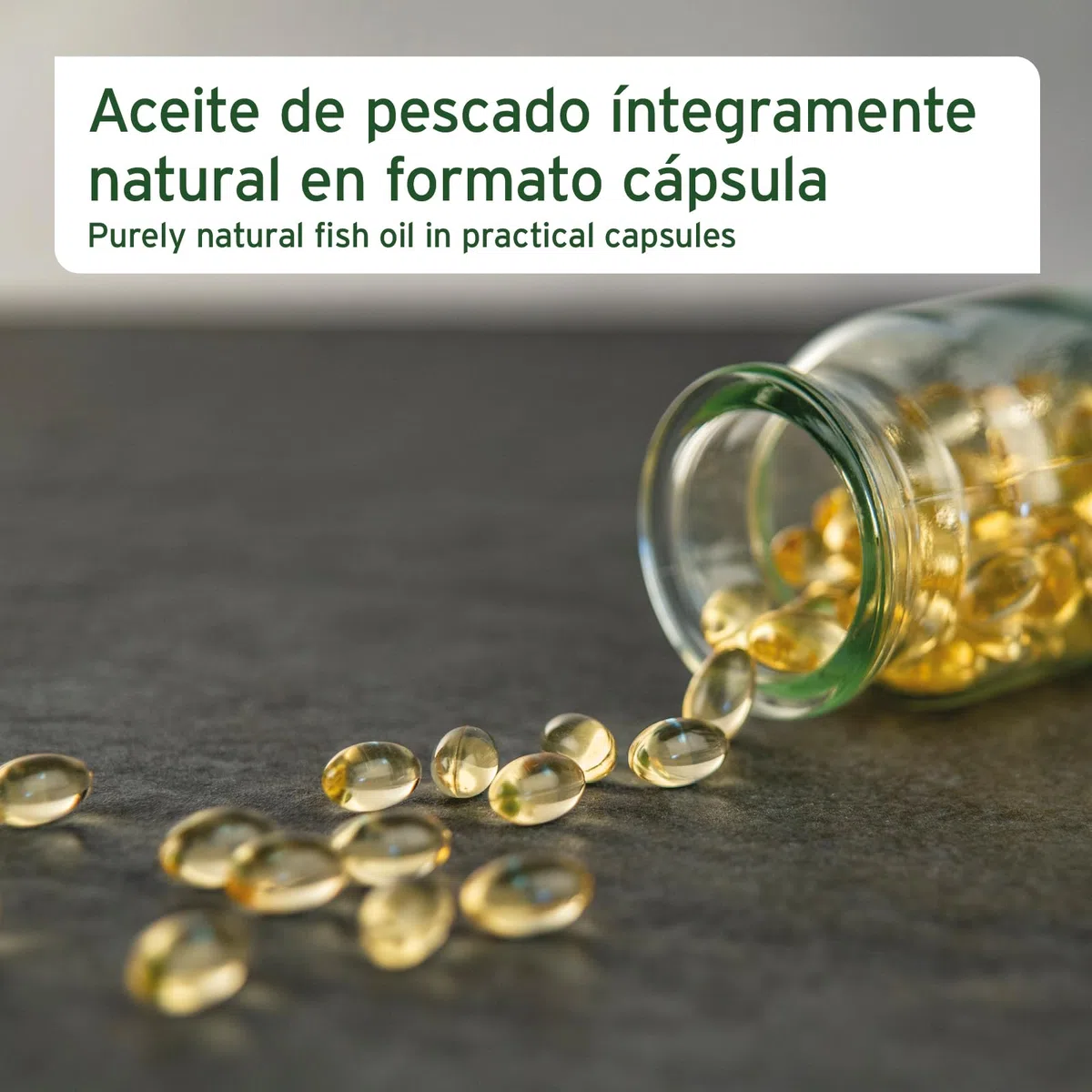 AniForte cápsulas de Aceite de salmón para Perros y Gatos 500 Unidades - valioso Aceite de Pescado Omega 3 y 6 y vitaminas para el metabolismo, la formación ósea y un Pelo Brillante