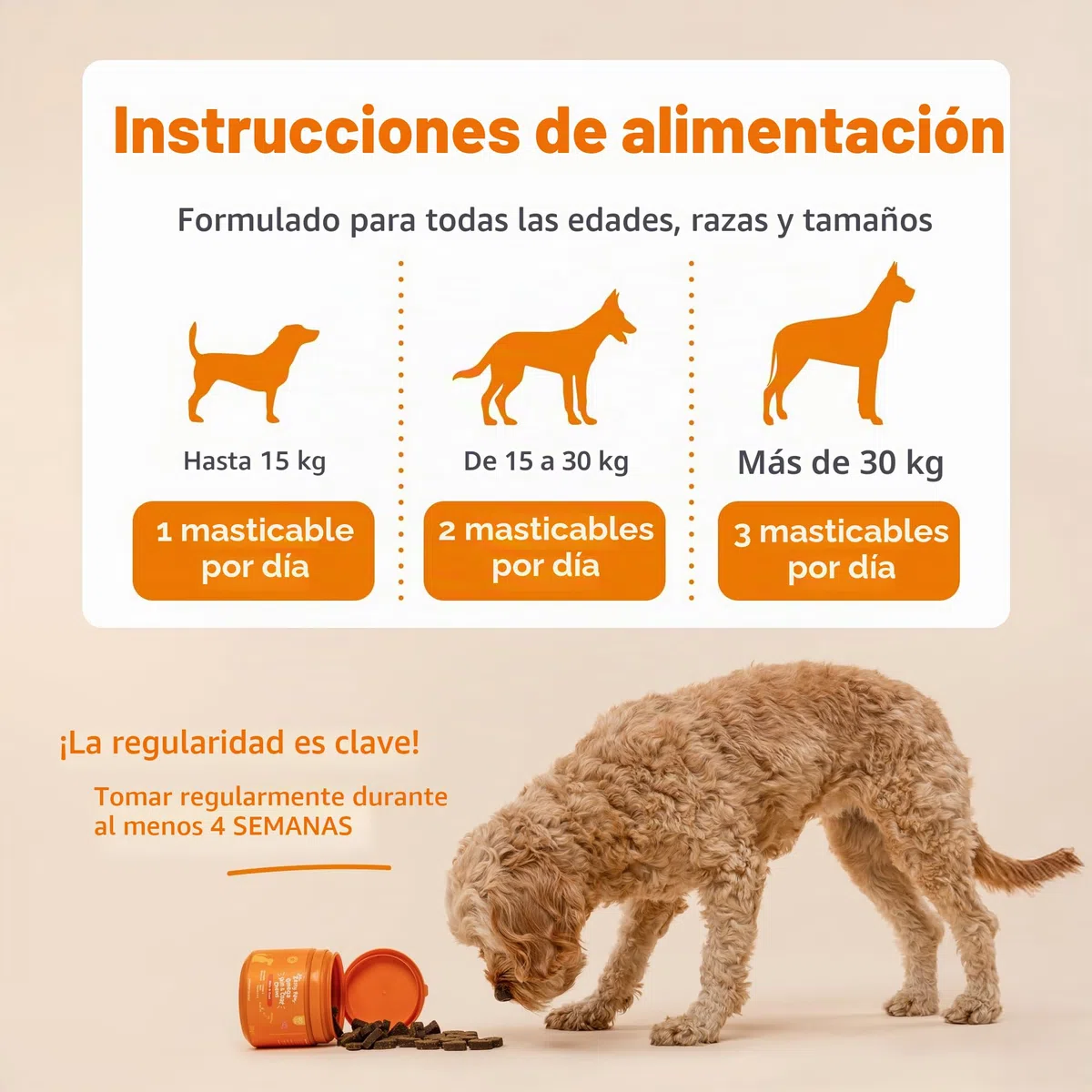 Suplemento calmante Zesty Paws para Perros | Alivio de ansiedad | Relajación y Estrés | Ashwagandha, Té Verde y L-Triptófano | Tabletas calmantes para Perros | 90 Piezas