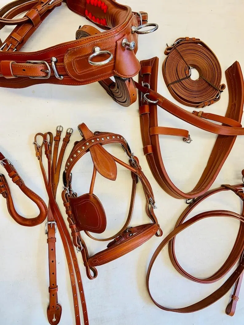 Juego de arnés de conducción de nailon sintético para carrito de caballo, tachuela ecuestre completa con riendas y brida, pony, mazorca, completo y marrón Shetland (mazorca)