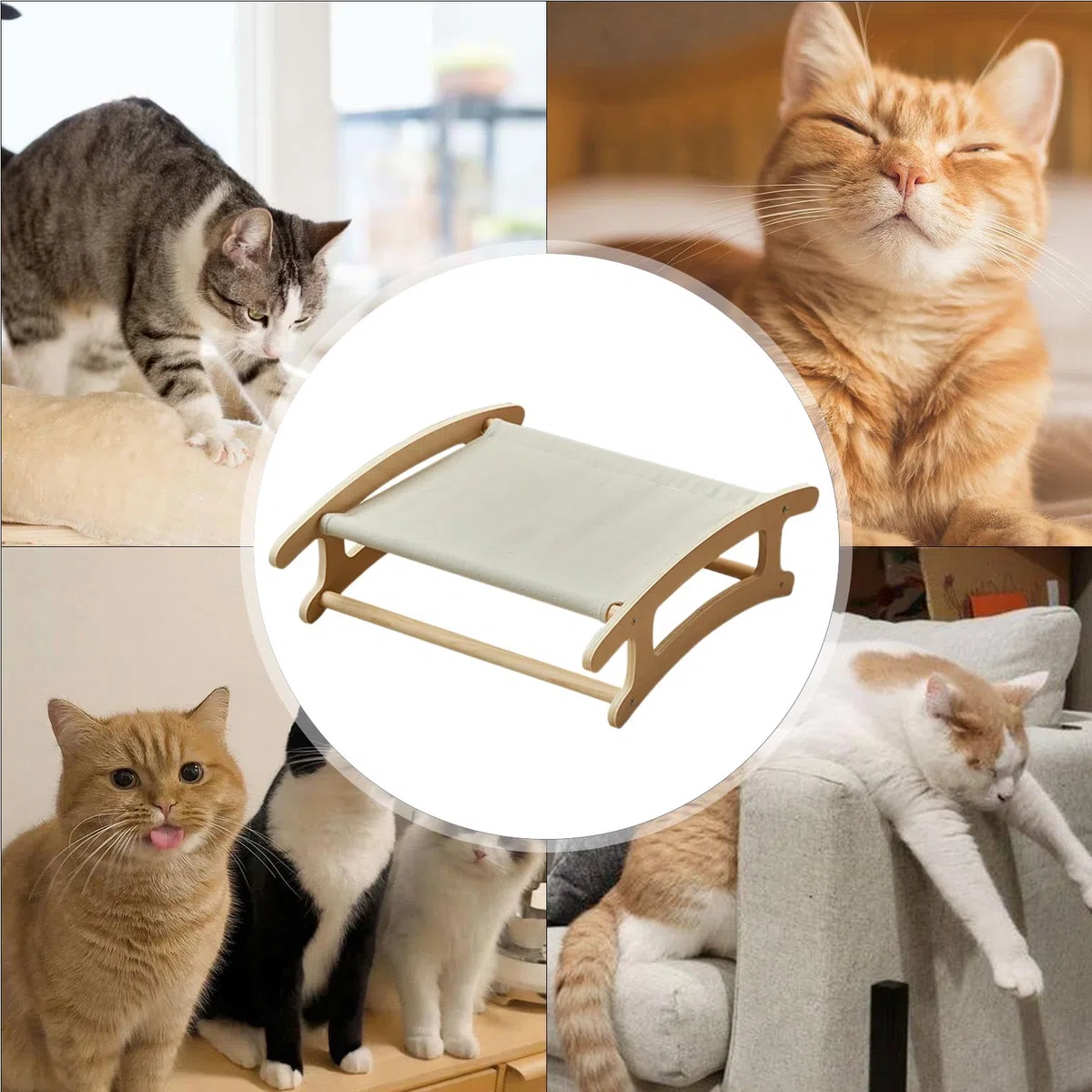 Cama Elevada para Mascotas | Asiento Tumbona Lavable y Moderno - para Mascotas De Madera Desmontable 50.5 X 41.5 X 15.8 Cm | para Gatos Perros Cachorros Y Hogar En Rincon