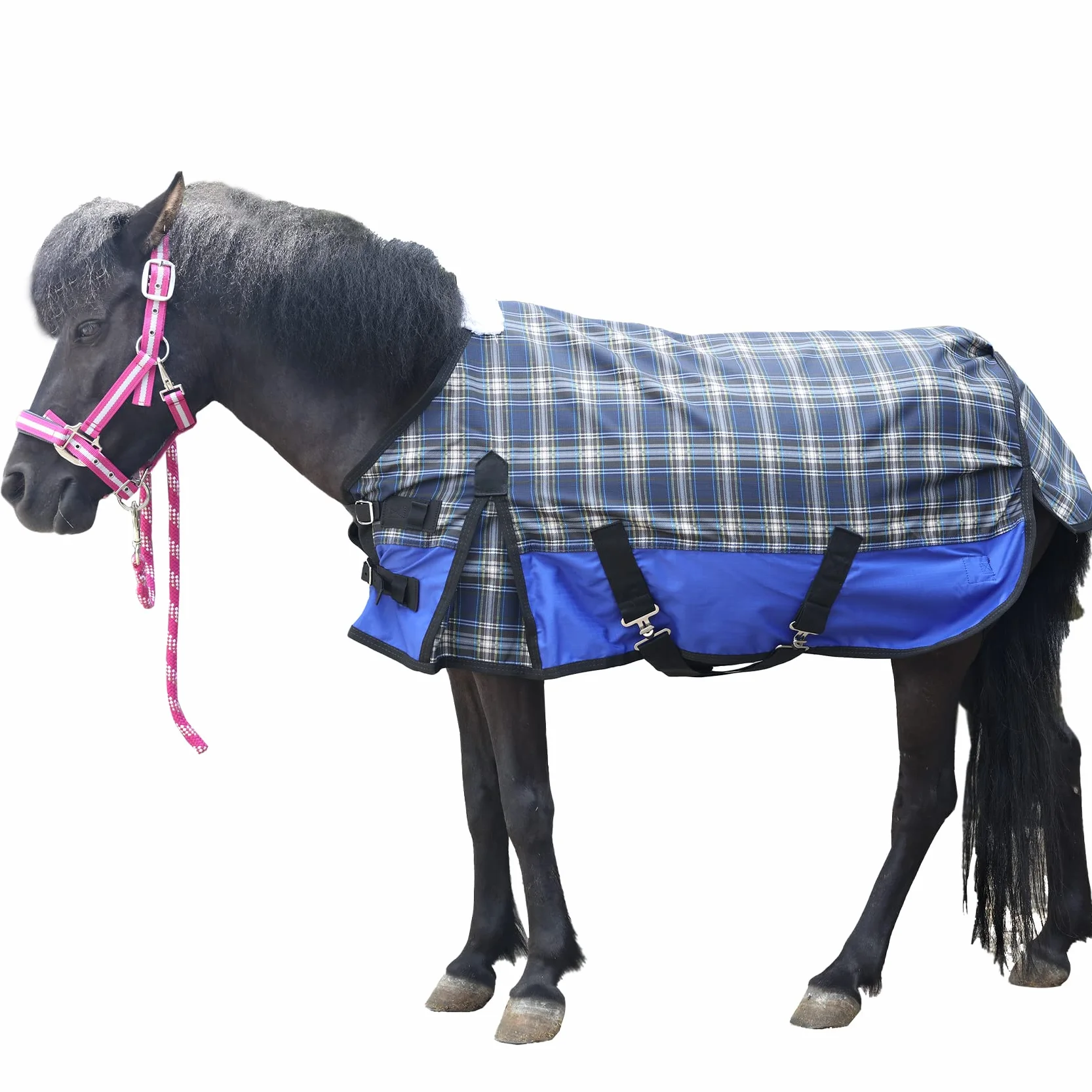 LEAFOREST Alfombra Impermeable de 600 Denier Shetland, Alfombra Pony, Potro, sin Relleno, Azul, 45 Pulgadas
