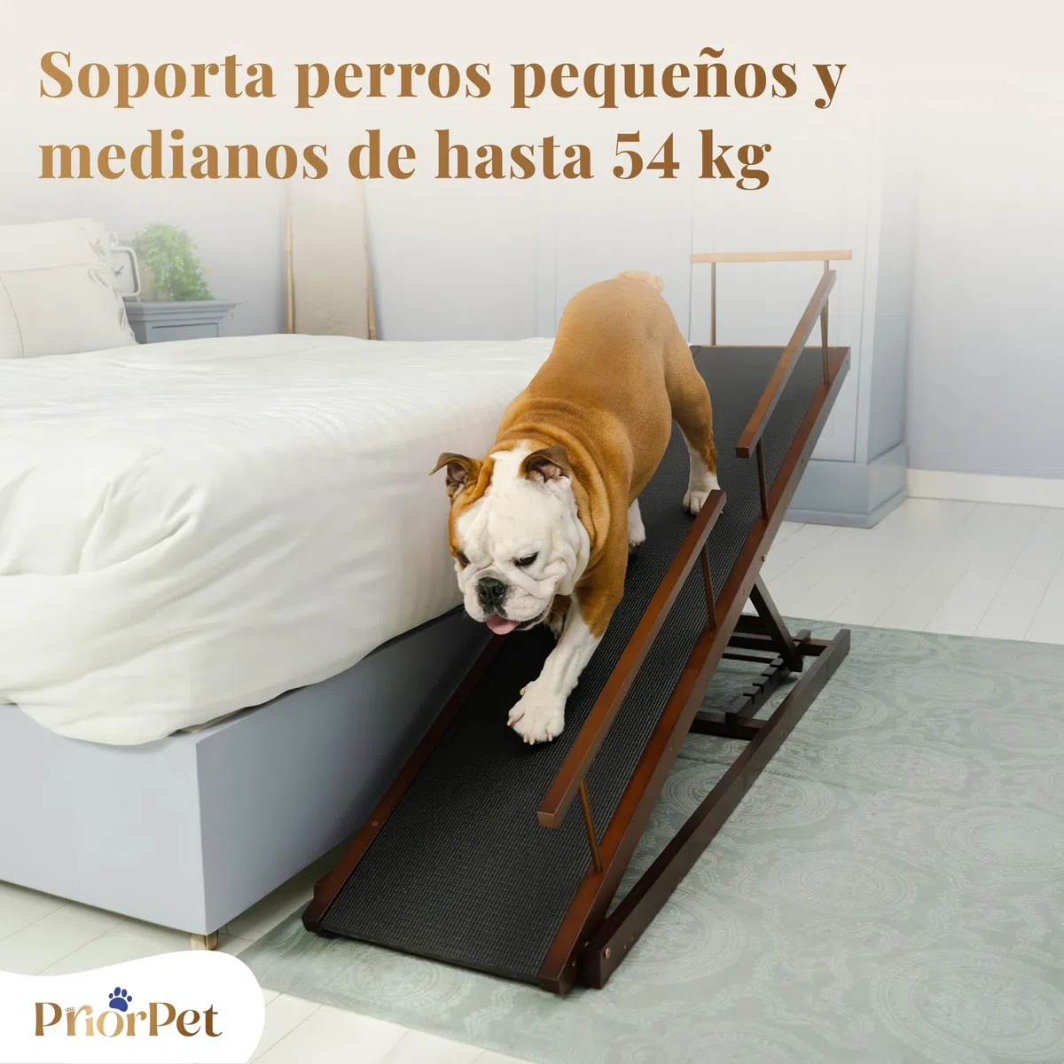 Rampa para Perros para Cama con Rieles de Seguridad PRIORPET - Madera de Abedul - Ajustable - para Camas Altas de hasta 94.5 cm - Plegable - Agarre Antideslizante - para Perros de hasta 23kg - Nuez