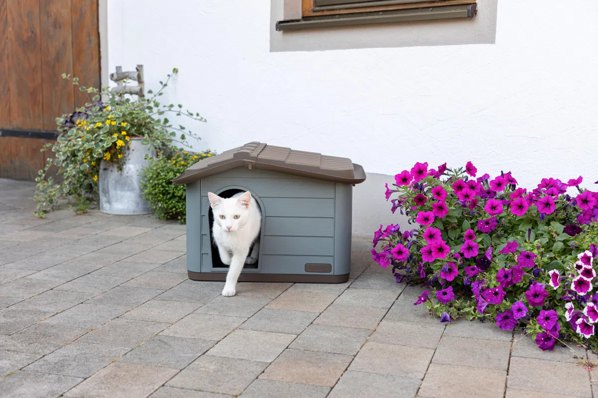 Kerbl Pet Casa para Gatos Paola Eco, Gris Verdoso/marrón, 60x51x41 cm, Cueva para Gatos, 100% plástico Reciclado, para Perros y Gatos