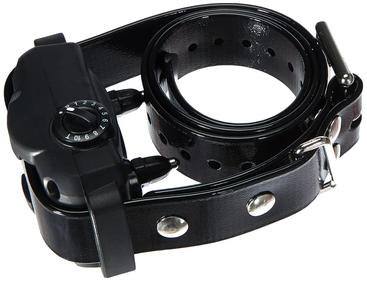Dogtra YS 600 - Colector con Cargador para Perro