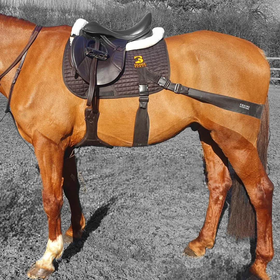 Sistema de banda equina. Ayuda de entrenamiento básico para zancadas y montar a caballo. Almohadilla multiusos y bandas de grado profesional Equine Balance Bands.