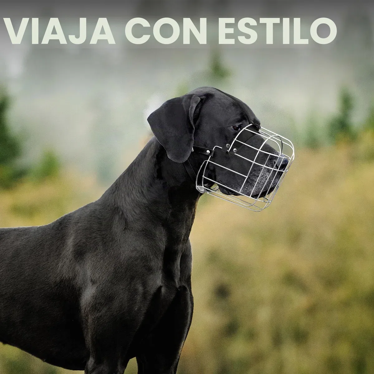 BronzeDog Bozal de Metal para Perro, Cesta de Alambre, máscara Transpirable con Correas de Cuero Ajustables, bozales para Perros extragrandes (XL)