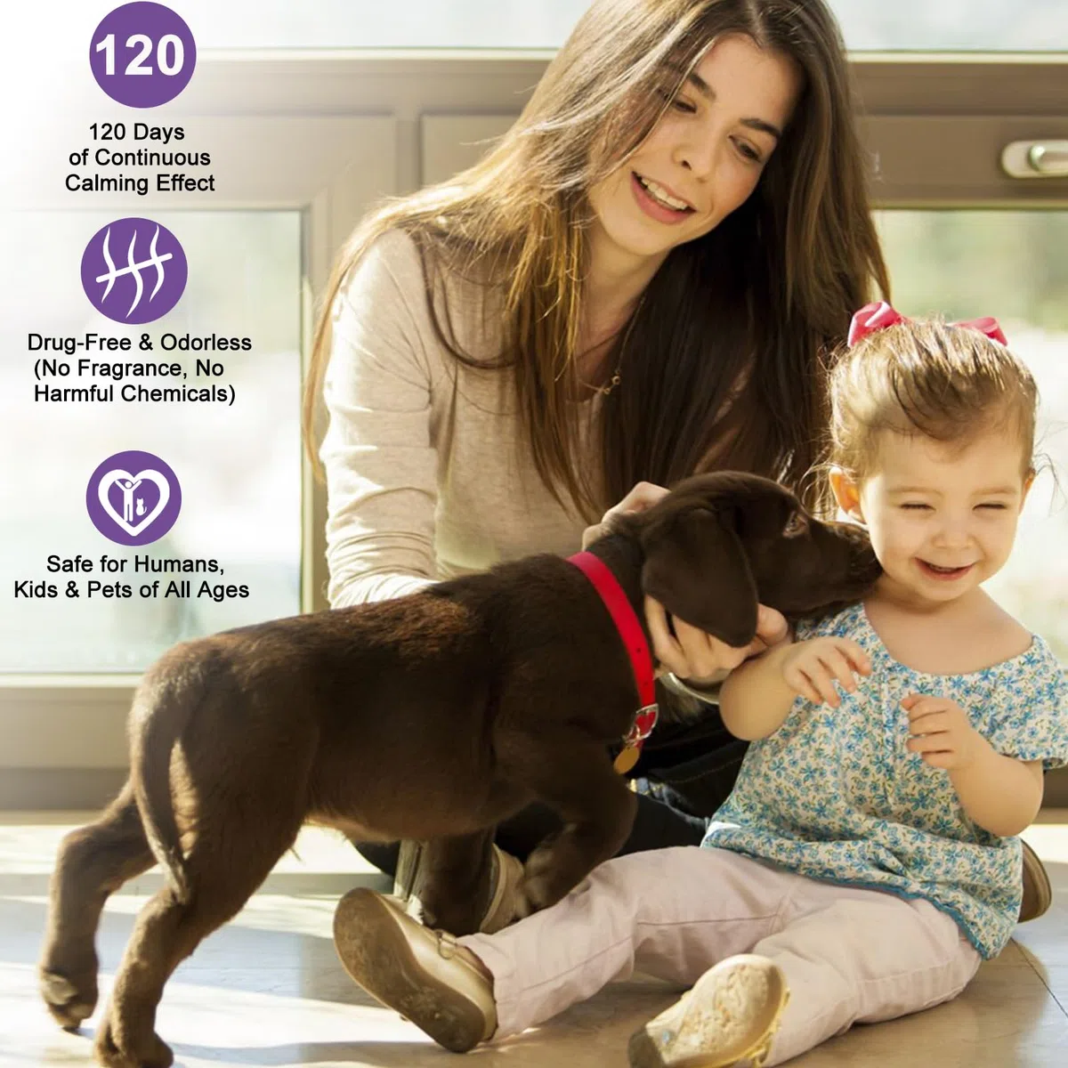 SLE Feromonas para Perros,Difusor Calmante para Perros Difusor, Gato Perros ArañAzos Soluciona Cambios Marcaje Orina, Reduce los Ladridos (2 Difusores + 4 Recargas)