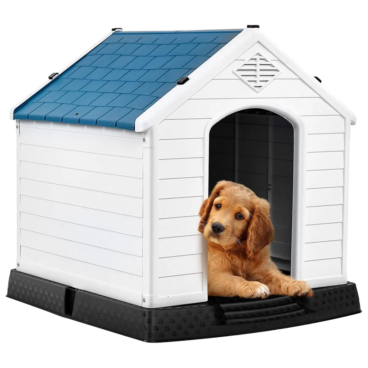 GYMAX Casa Perro, Caseta para Perros Exterior para Pequeños y Medianos, 72,5 x 66 x 70,5 cm con Suelo Elevado, Sistema de Ventilación y Estacas de Anclaje, Blanco + Azul