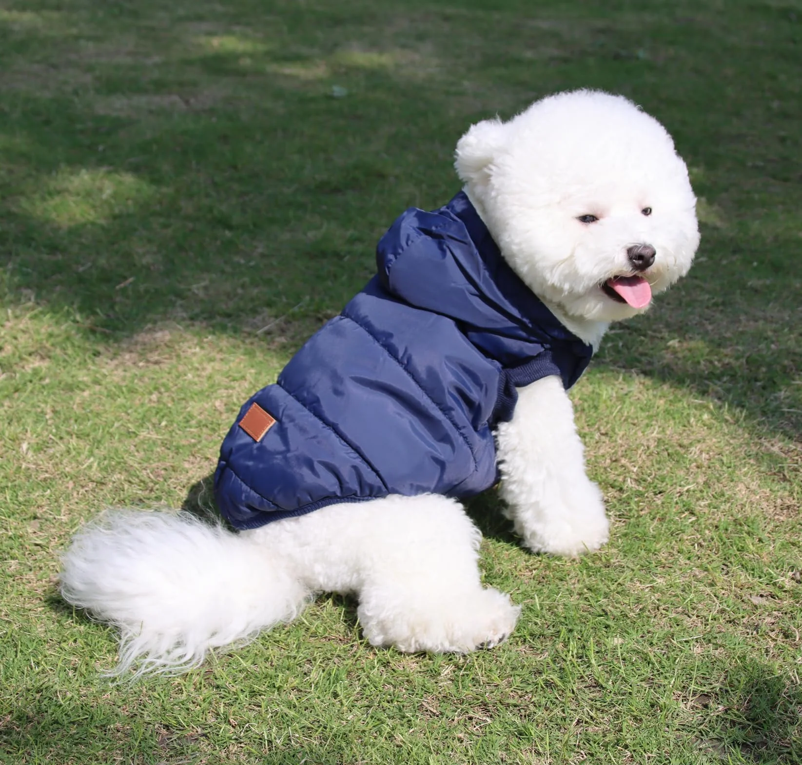 JoyDaog - Sudadera con capucha para perro con forro polar cálido en invierno, chaqueta con capucha para perros pequeños, color azul, talla M