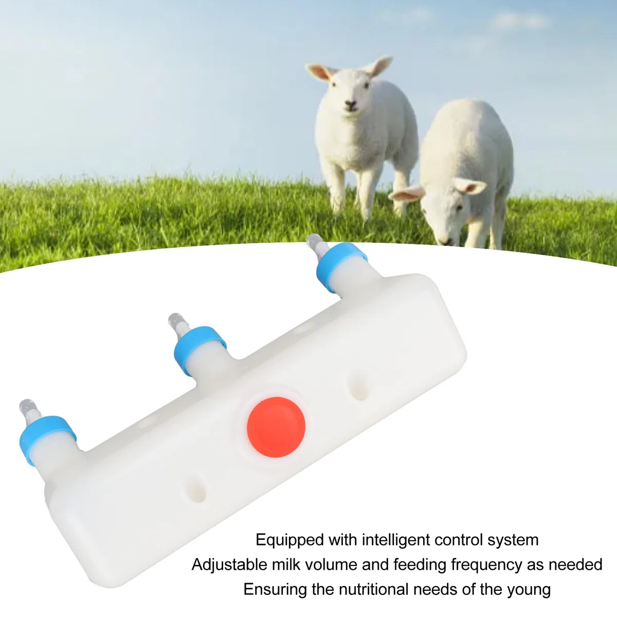 Alimentador de Cordero Alimentador de Leche para Animales Pequeños con 3 Chupetes, Biberón de Leche de Cabra, para Lechones, Cachorros, Lámpara para Bebés, Gatitos - Equipo para