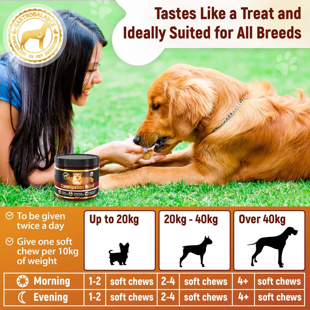 Alivio estreñimiento Perros - 60 masticables Blandos para ablandar Las heces de Perros (Sabor a Pollo)