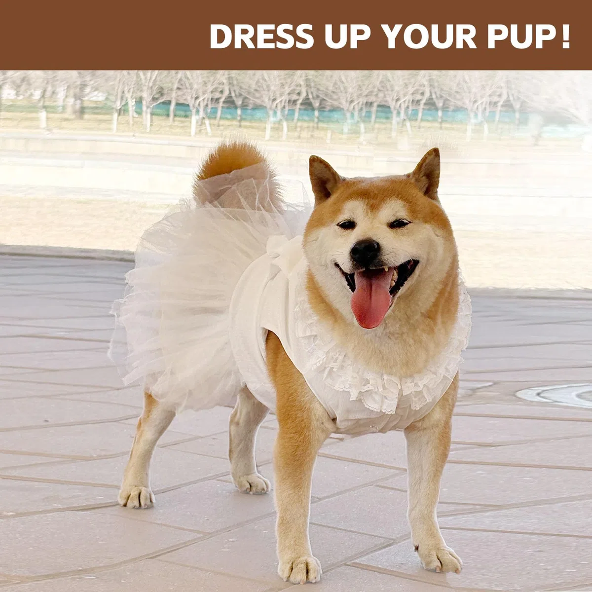 Vestidos para Perros para Perros Grandes Niña Vestido de Novia de Lujo para Perros Hermoso Disfraz de Novia para Perros con Lazo Falda de Princesa para Perros Medianos para Verano, Fiesta