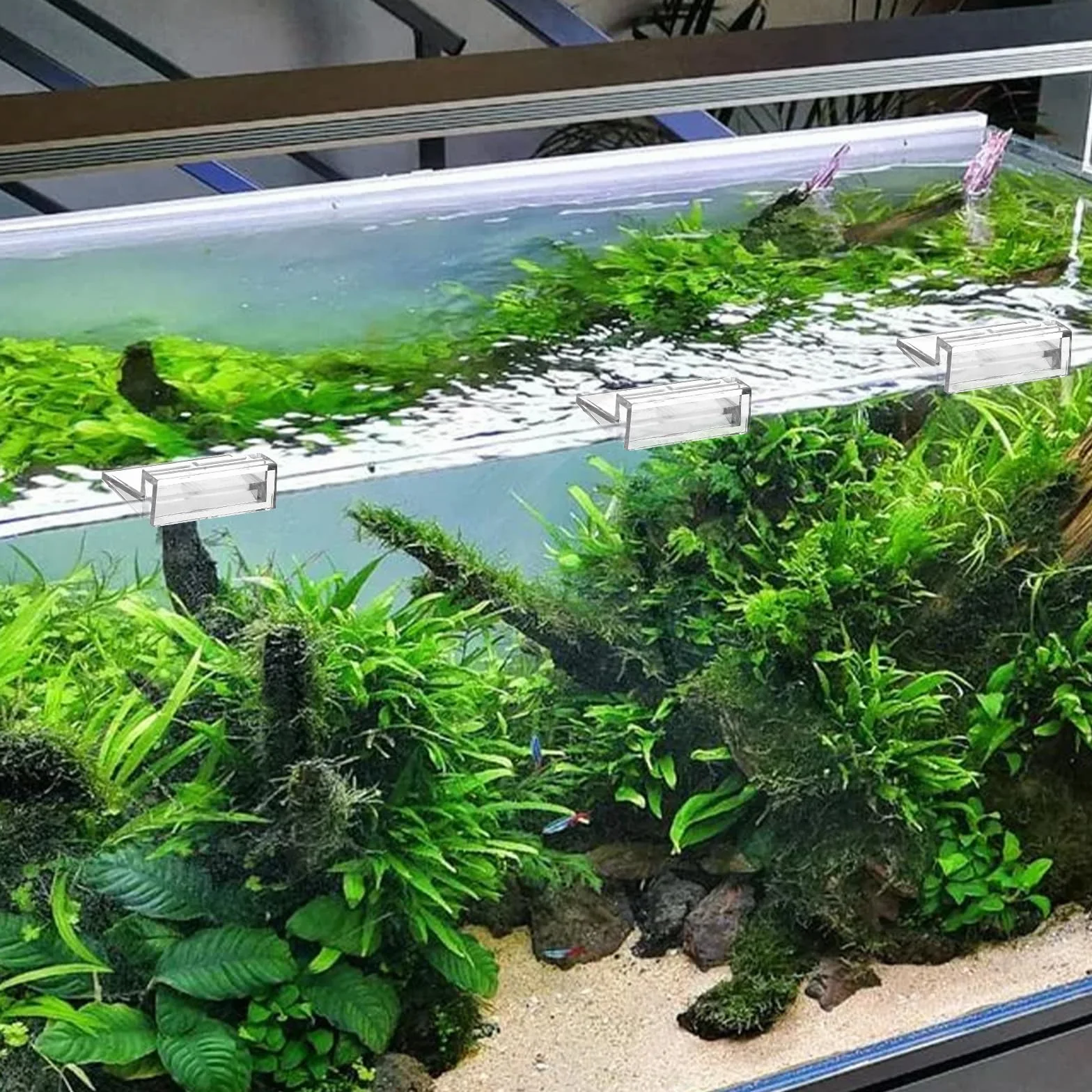 Sliverdew 6 clips para tapa de acuario, 6 mm, acrílico transparente, soporte para tapa de pecera, abrazaderas de soporte para cubierta de acuario sin borde, cubierta de plástico para pecera, campanas