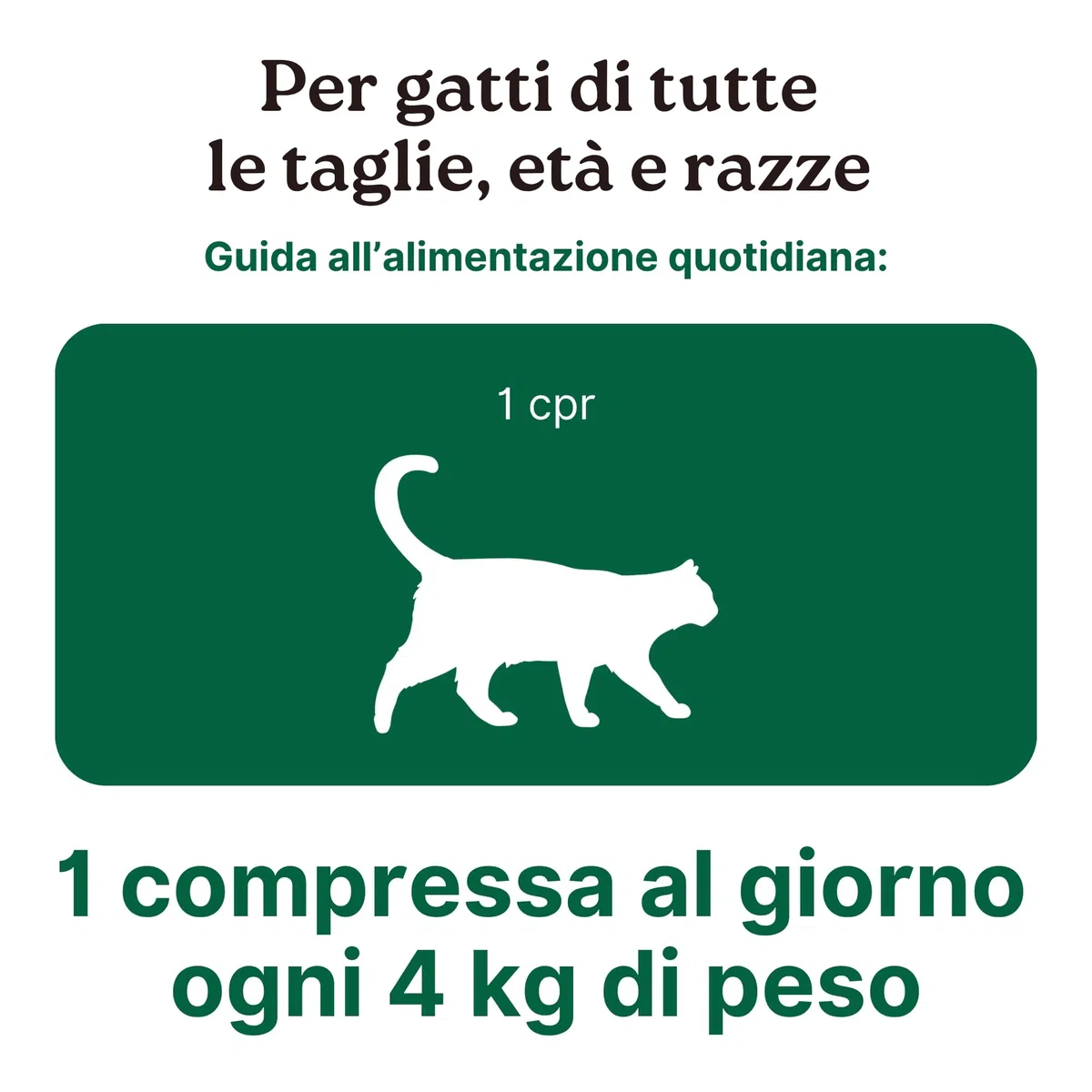 Fermentos Lácticos ProbioticPet Gato 60 CPR | Probióticos para el Equilibrio Intestinal | Suplementos para Gatos para Digestión, Heces Poco Formadas, Salud Intestinal | Longevity Pet