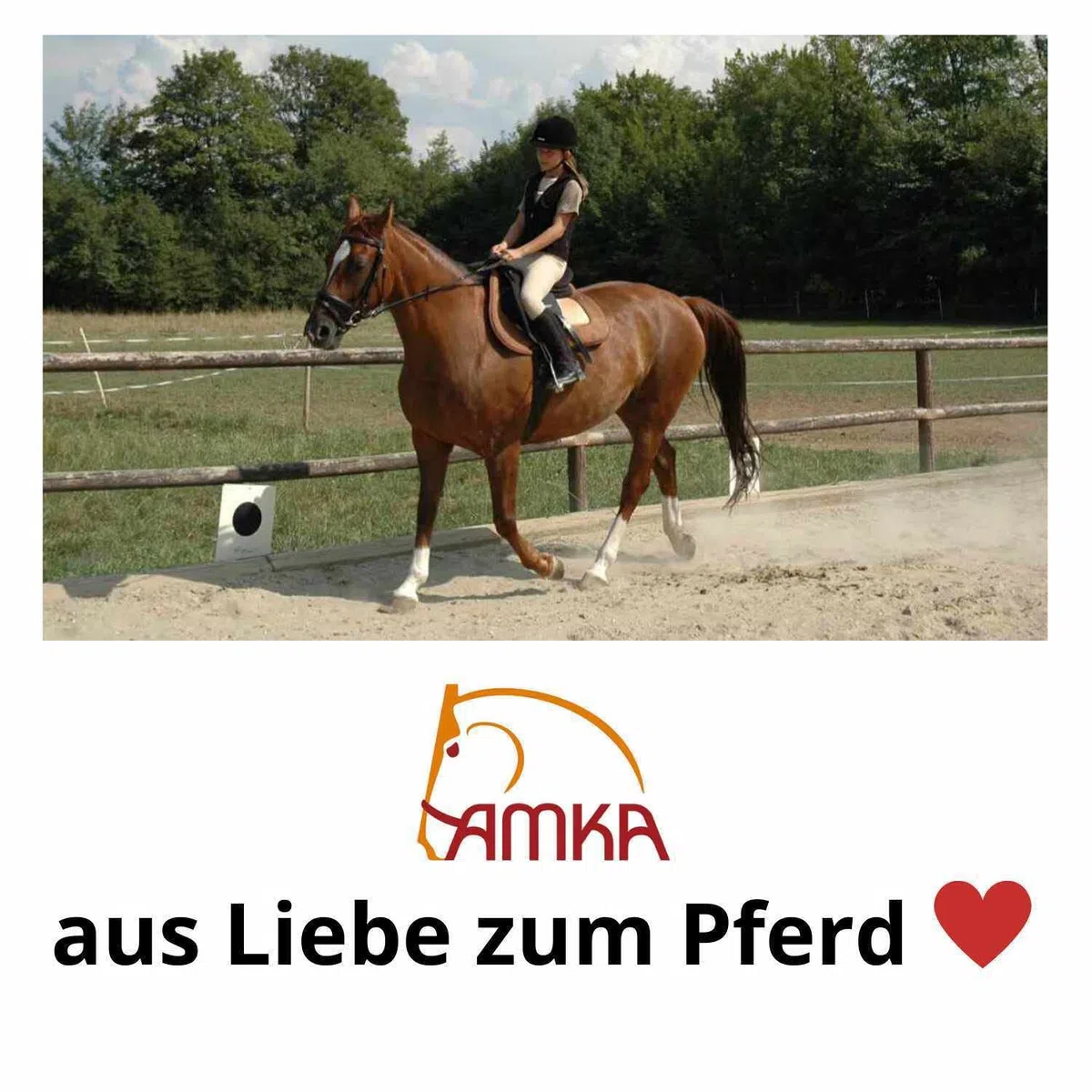 AMKA Flower 50139 Cilindro de acero inoxidable, para hackamore gebisslos Jinete 1 par