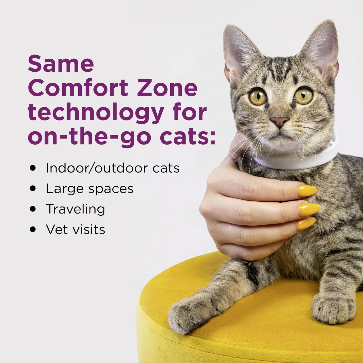 Comfort Zone Paquete de 4 collares de feromonas calmantes para gatos | Desestresa a tu gato | Ayuda a los gatos a sentirse seguros, felices y tranquilos mientras reduce los comportamientos no deseados