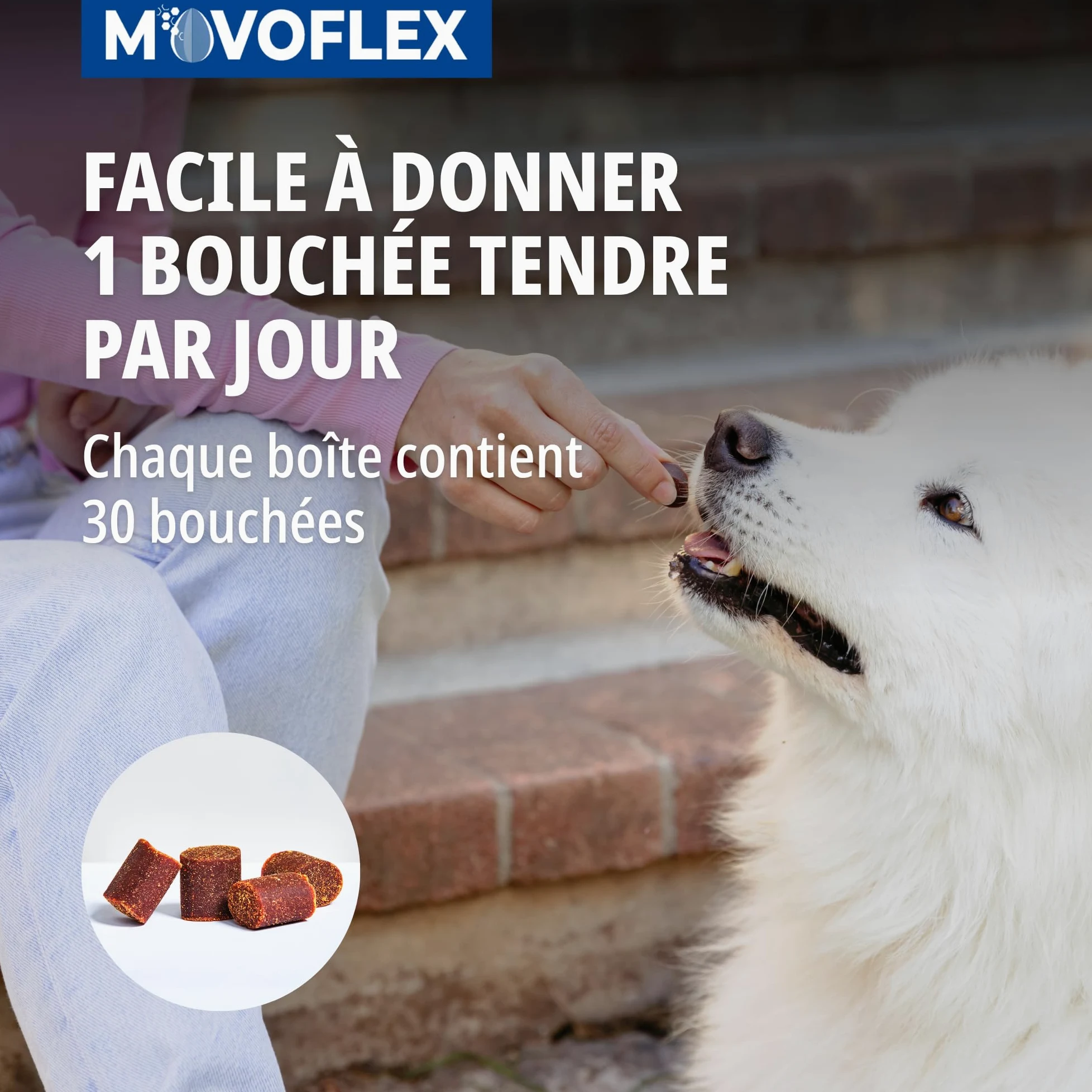 Movoflex Soft Chews | 30 Unidades | para Perros de 15 kg a 35 kg | Alimento complementario para la Salud Articular | para Mantener Las estructuras articulares | con ácido hialurónico