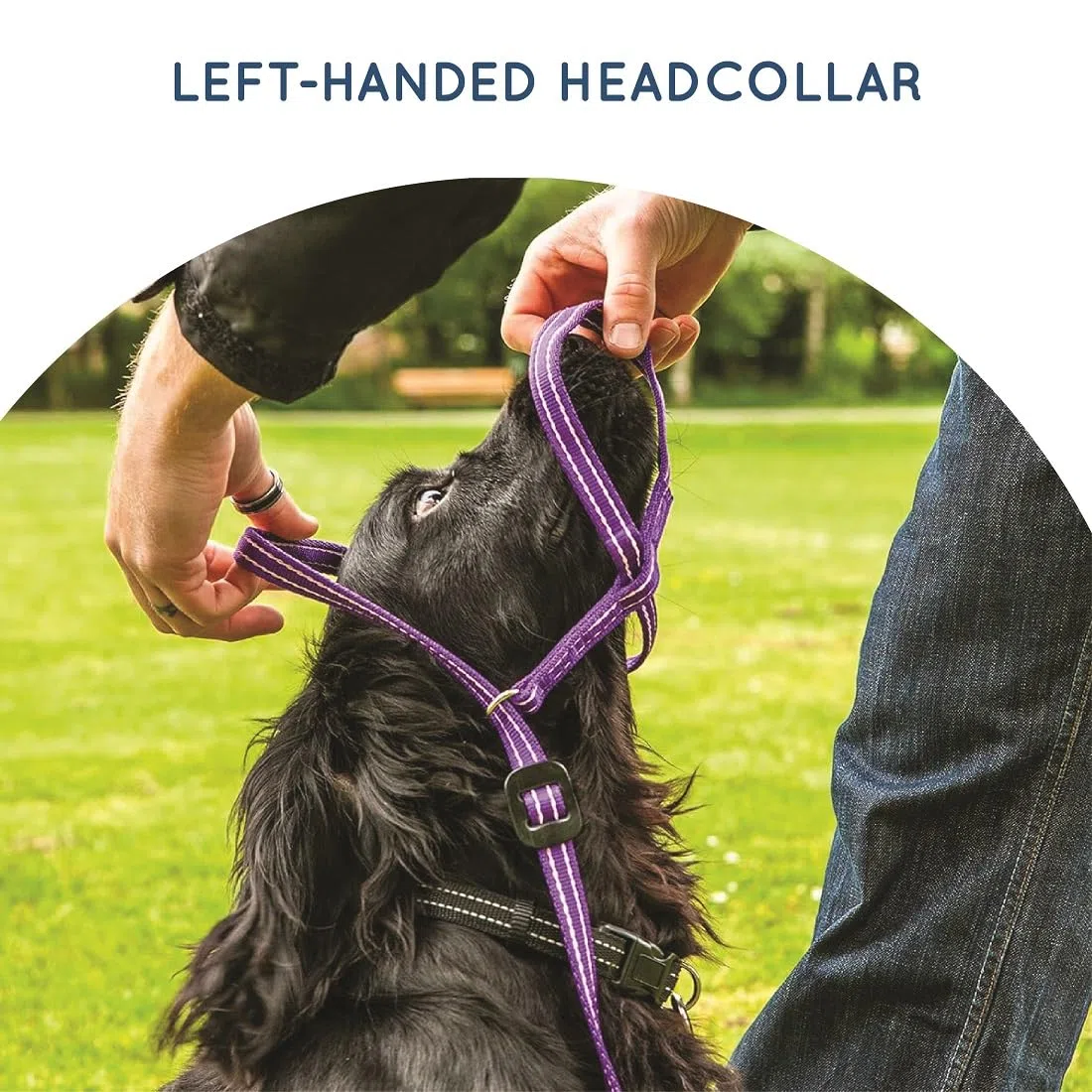 Gencon Headcollar Left