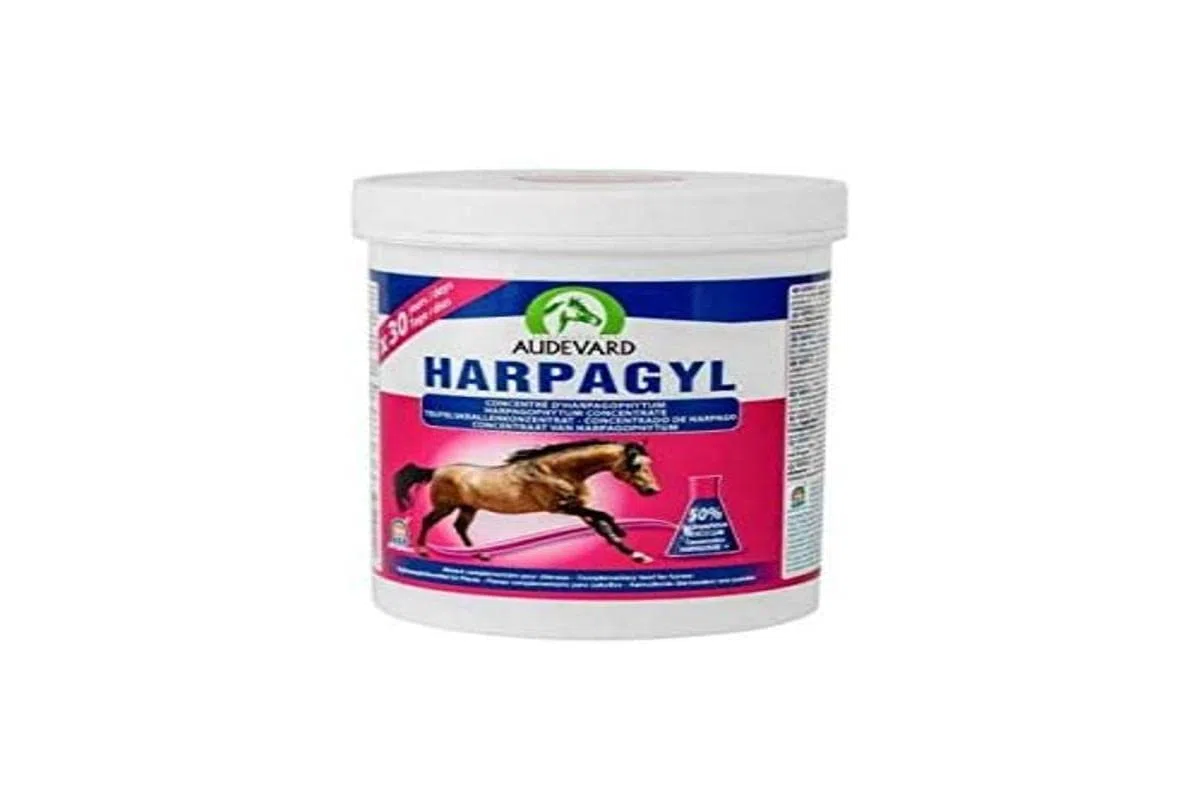 LABORATOIRES AUDEVARD 920-1598 Harpagyl 900G Audevard