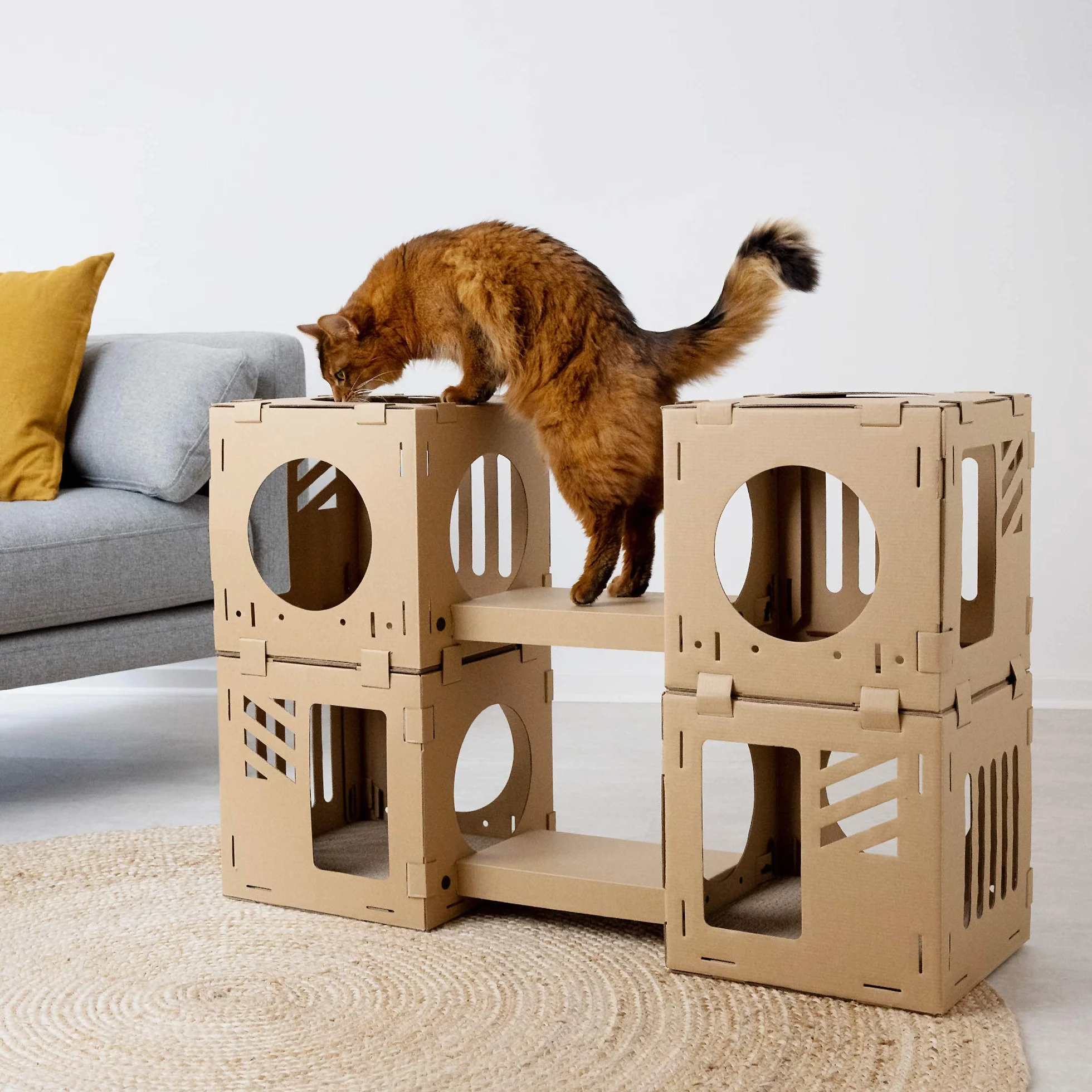 Navaris Casa de cartón para Gatos - Centro de Juegos DIY cartón Corrugado para Gato - 4X Caja de túnel 2X rascador 2X Puente 1x Set de Conectores