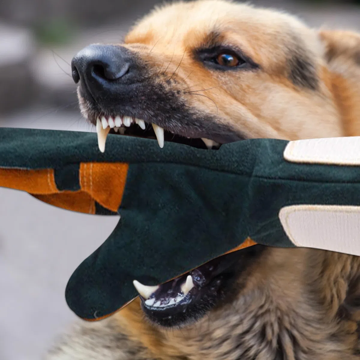 Guantes antimordeduras – Banda de piel reforzada para entrenamiento de perros grandes | Guantes antimordeduras para manejo de mascotas, cubierta antimordeduras para mascotas con agujeros y arañazos