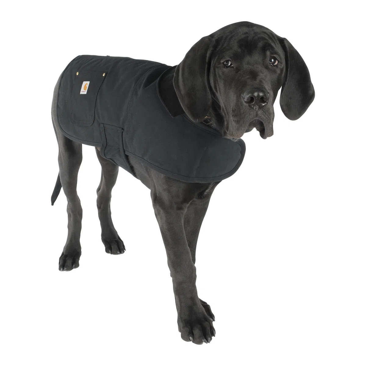 Carhartt Abrigo De Tareas Hombre