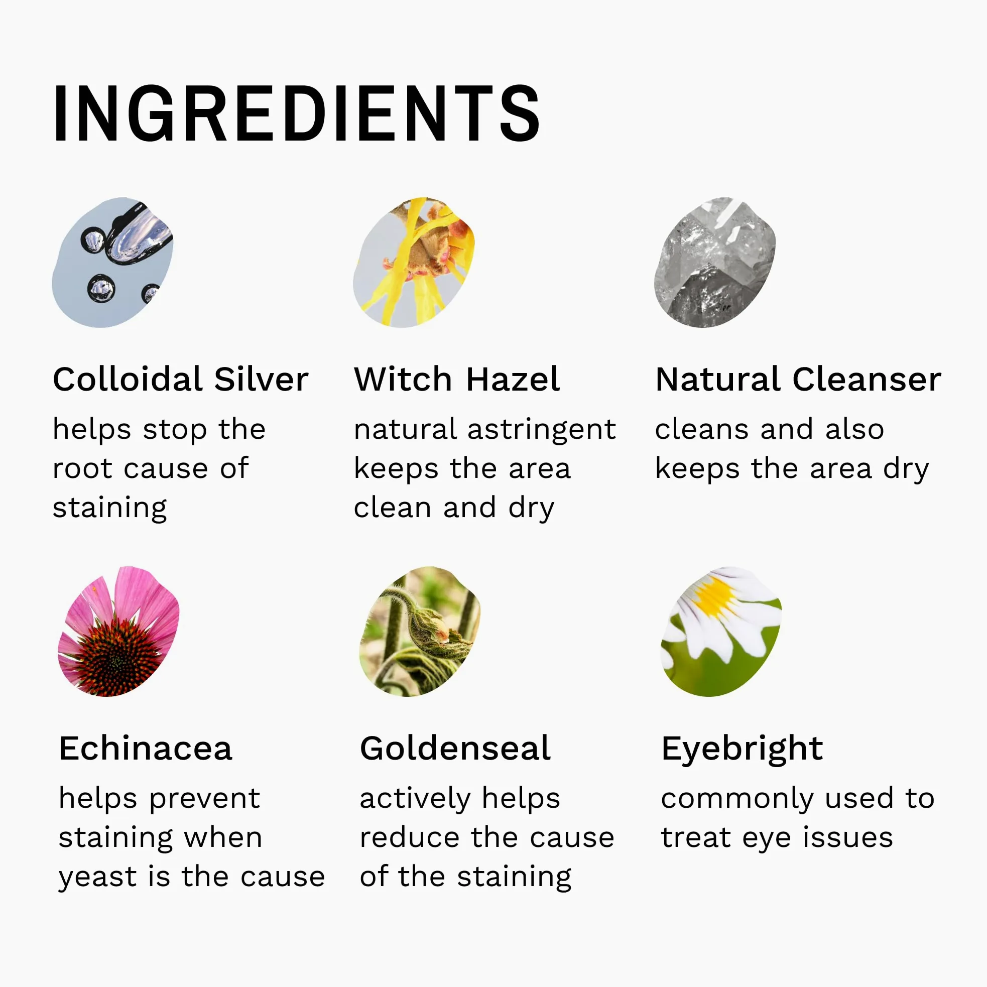 Eye Envy Kit quitamanchas de lágrimas de perrode inicio con cepillo ProPowder | solución antimanchas, almohadillas aplicadoras, polvo antimanchas y cepillo aplicador pequeño | Dura 30-45 días